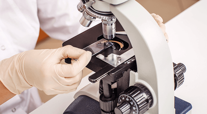In-House Pet Testing Services Richmond In-House Pet Testing Services Richmond
