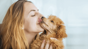 Pet Behavior Therapy Richmond