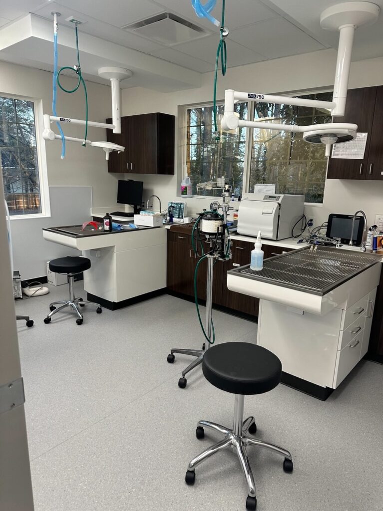 Dental